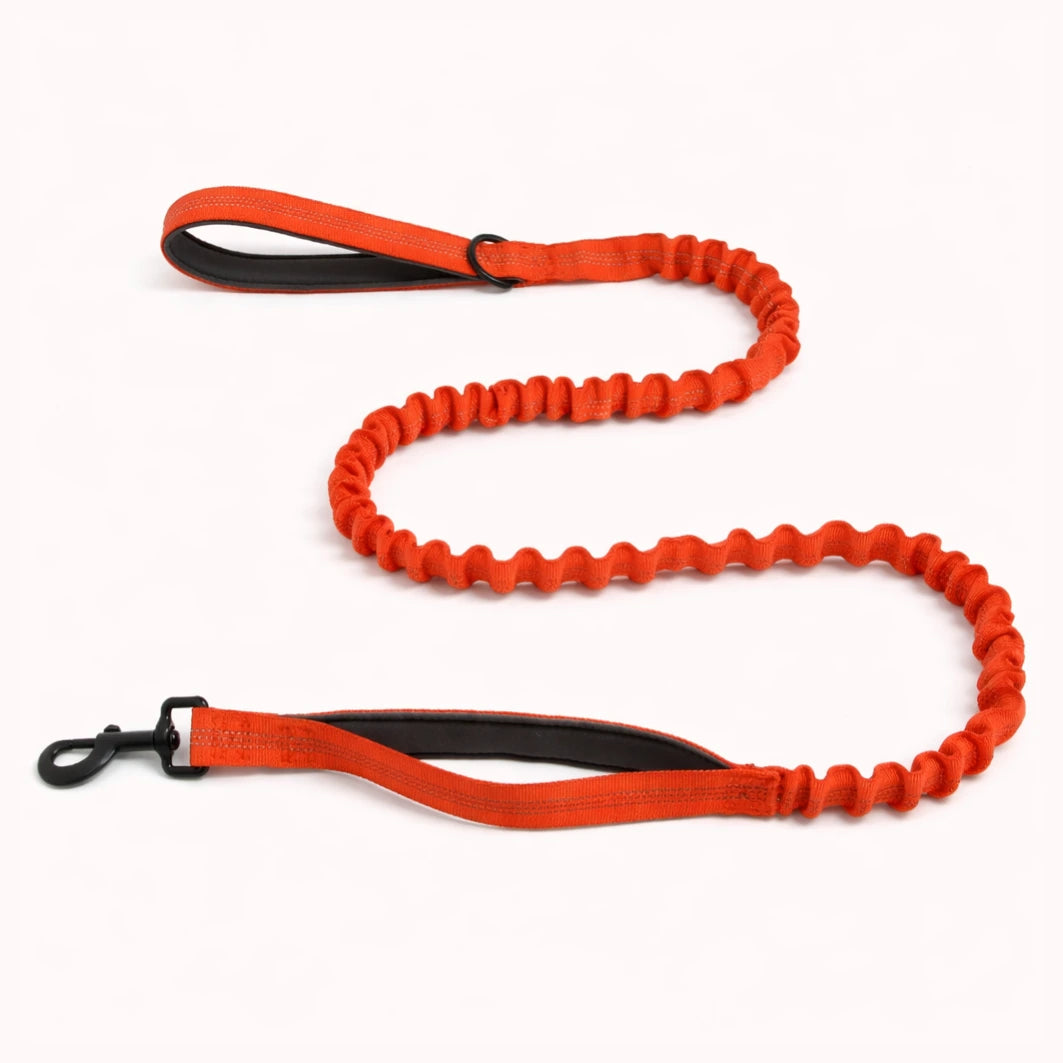 Laisse Élastique Naseyla Assortie