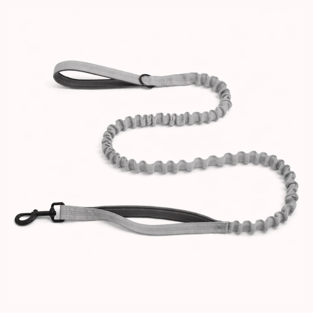 Laisse Élastique Naseyla Assortie