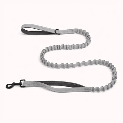 Laisse Élastique Naseyla Assortie