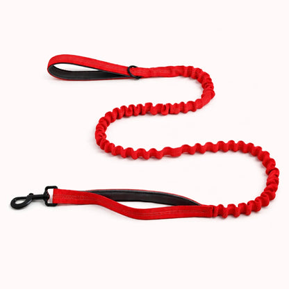 Laisse Élastique Naseyla Assortie