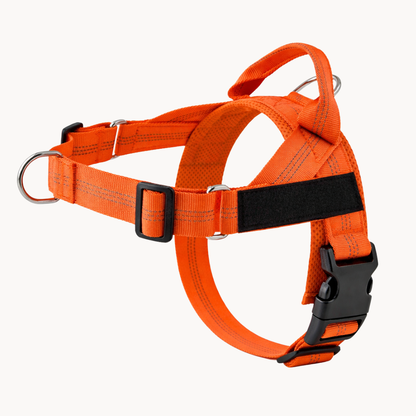 Harnais Anti-Traction pour Chien Naseyla