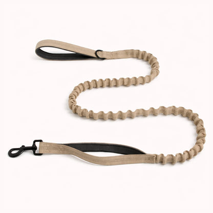 Laisse Élastique Naseyla Assortie