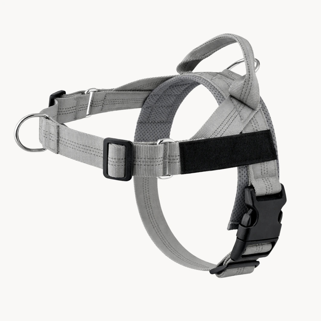 Harnais Anti-Traction pour Chien Naseyla