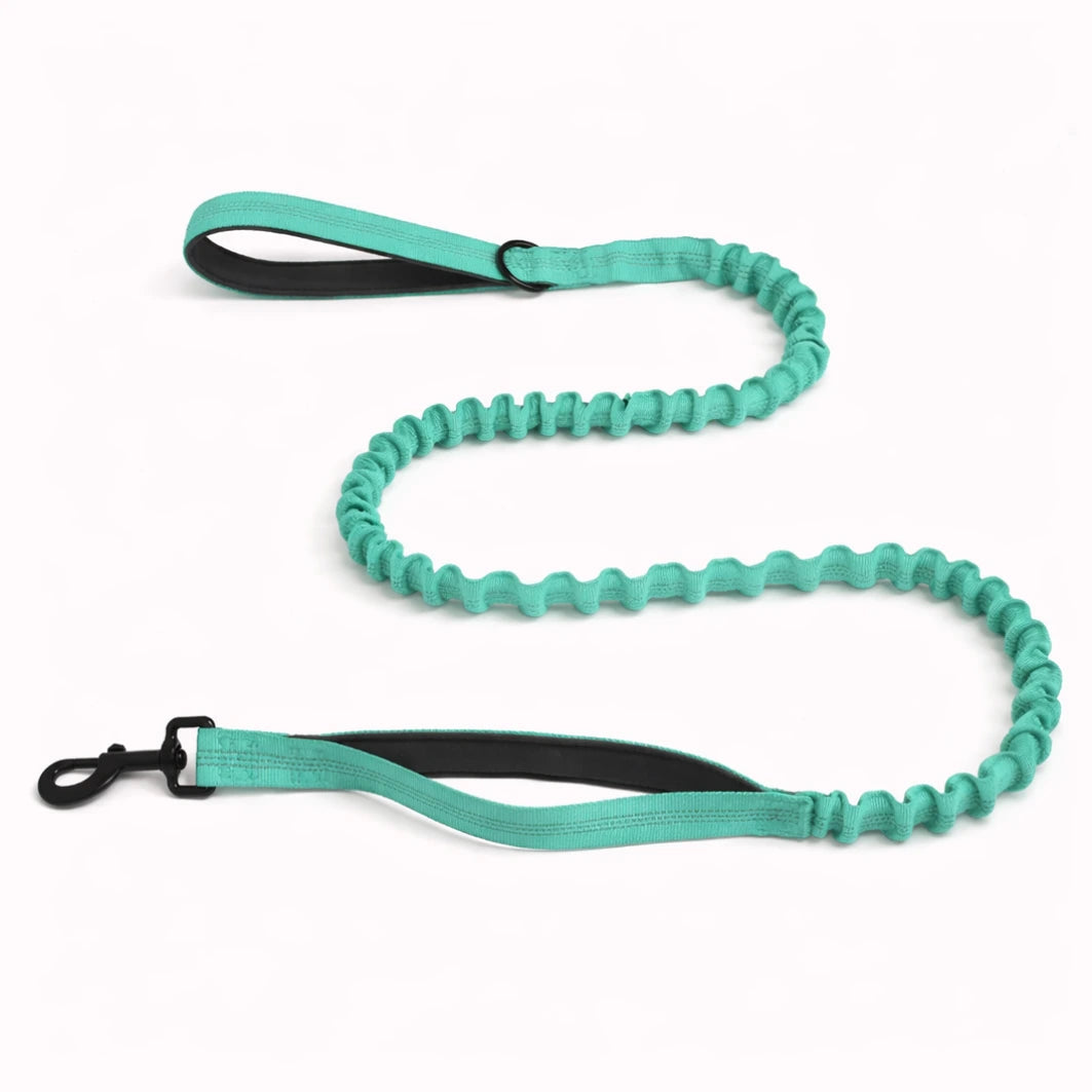 Laisse Élastique Naseyla Assortie