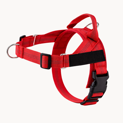 Harnais Anti-Traction pour Chien Naseyla
