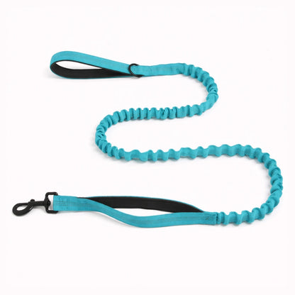 Laisse Élastique Naseyla Assortie