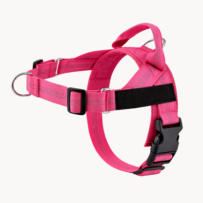 Harnais Anti-Traction pour Chien Naseyla
