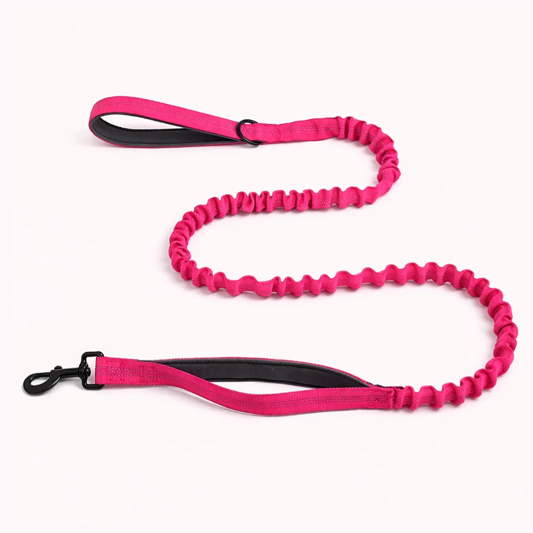 Laisse Élastique Naseyla Assortie