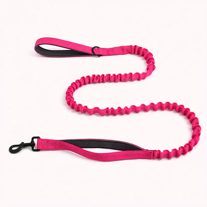 Laisse Élastique Naseyla Assortie