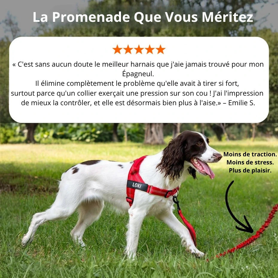Harnais Anti-Traction pour Chien Naseyla