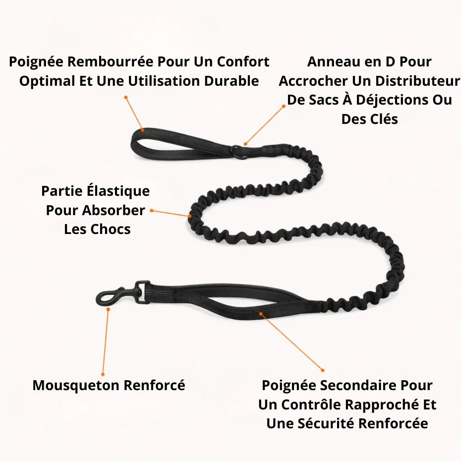 Harnais Anti-Traction pour Chien Naseyla