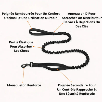 Harnais Anti-Traction pour Chien Naseyla