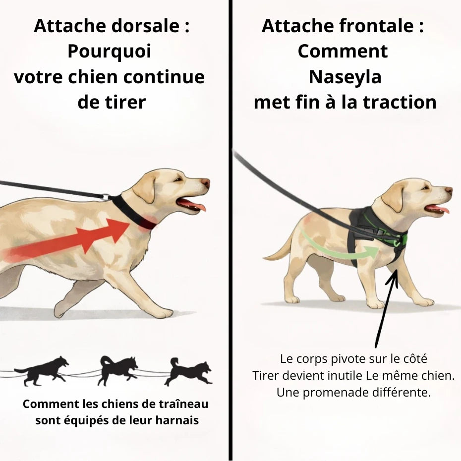 Harnais Anti-Traction pour Chien Naseyla