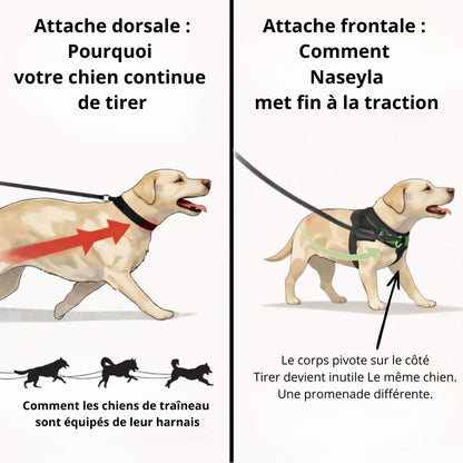 Harnais Anti-Traction pour Chien Naseyla
