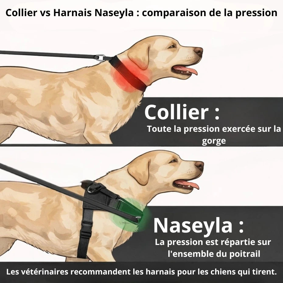 Harnais Anti-Traction pour Chien Naseyla