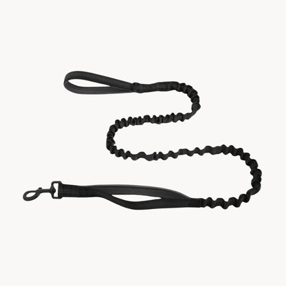 Laisse Élastique Naseyla Assortie