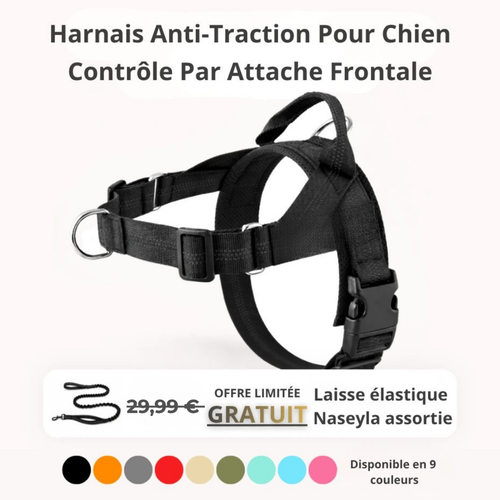 Harnais Anti-Traction pour Chien Naseyla