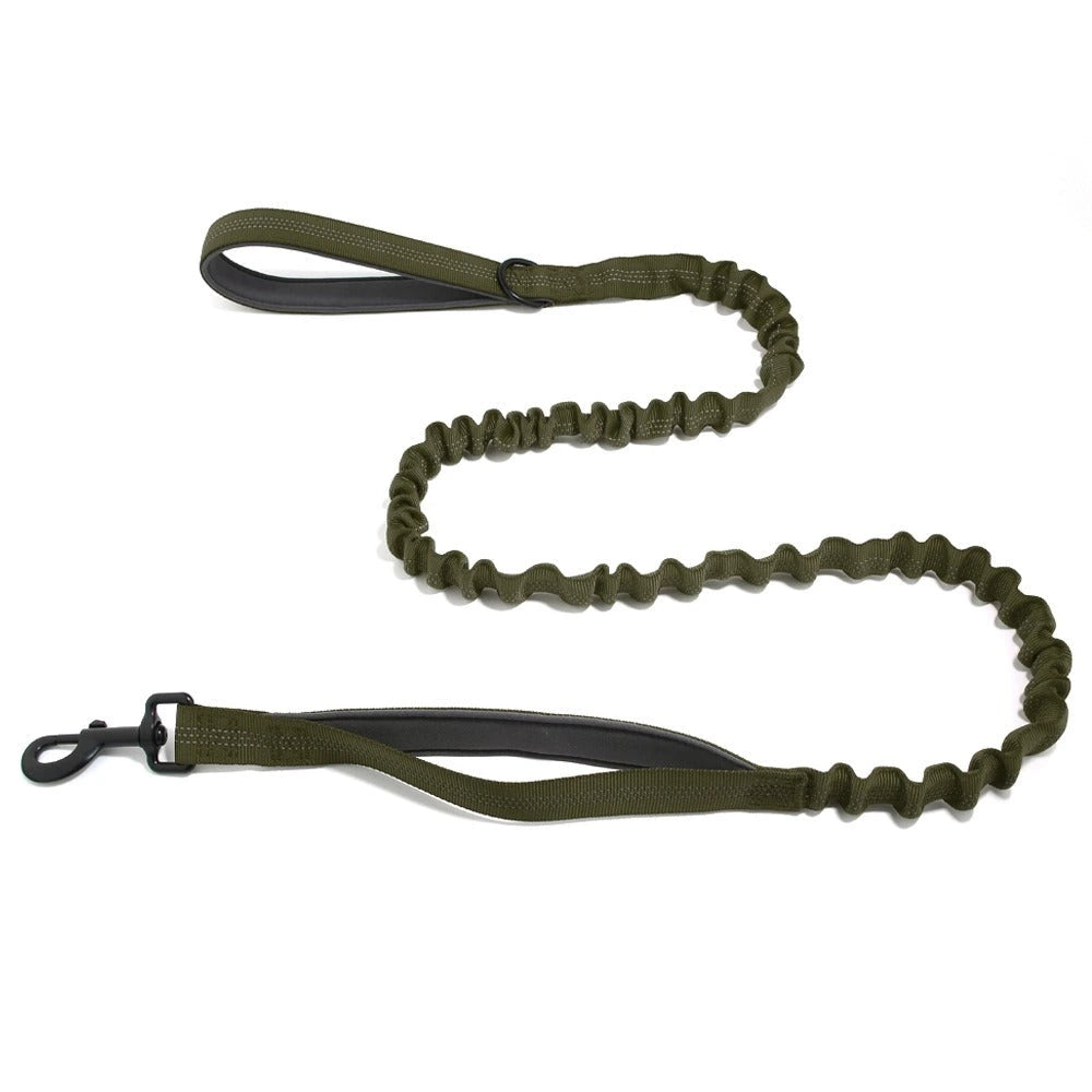Laisse Élastique Naseyla Assortie